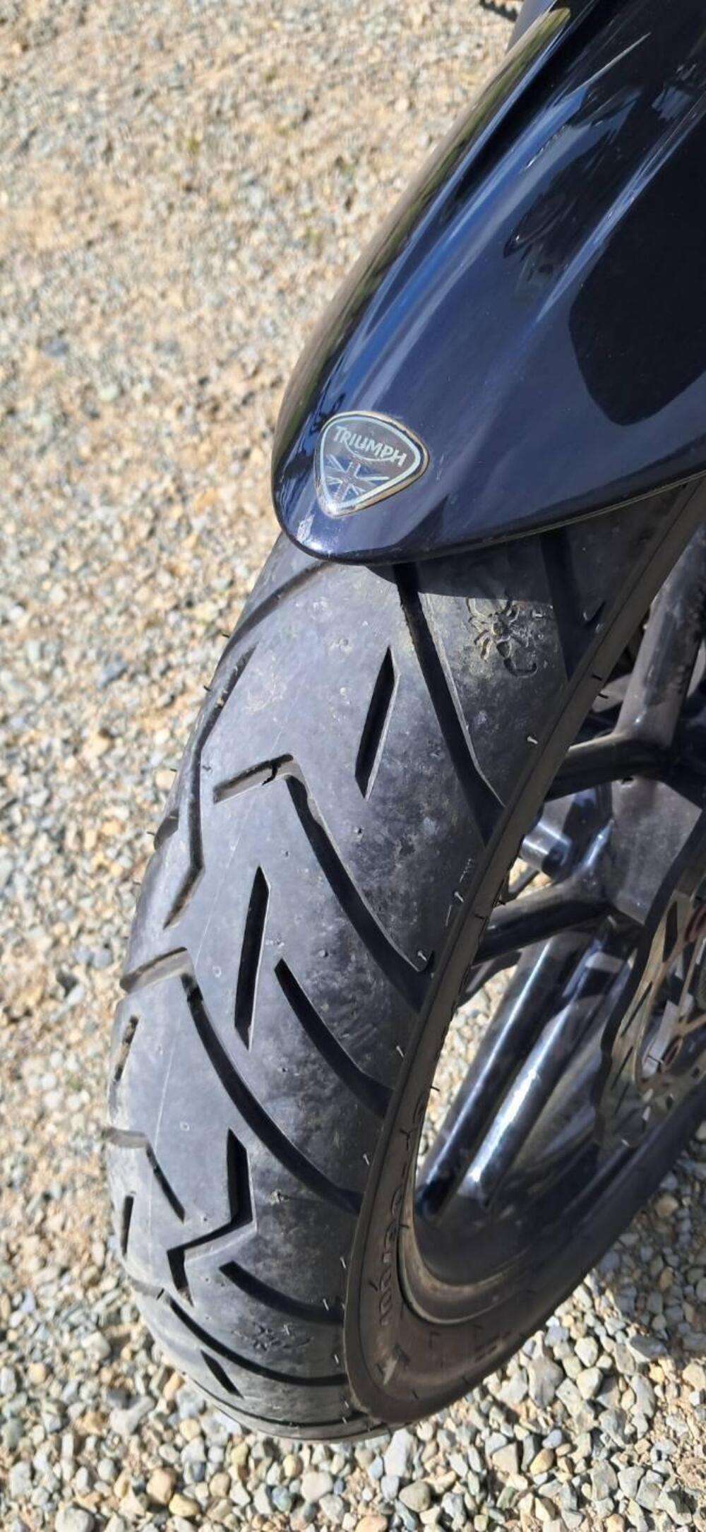 Triumph Tiger 800 ABS (2010 - 14) (8)