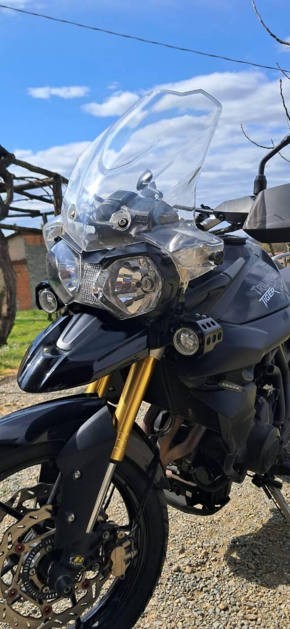 Triumph Tiger 800 ABS (2010 - 14) (9)