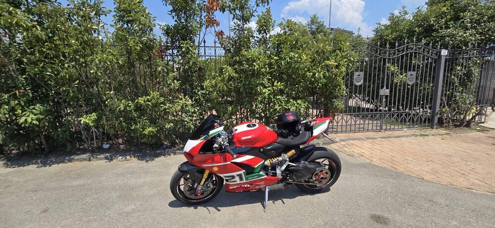 Ducati Panigale V2 Bayliss 1st Championship 20th Anniversary (2021 - 24) (8)