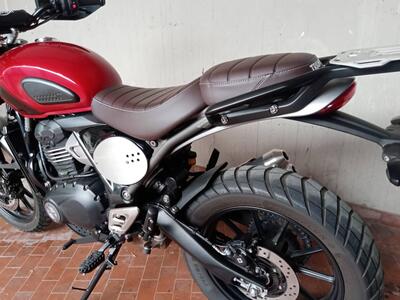 Triumph Scrambler 400 X (2024 - 26) usata