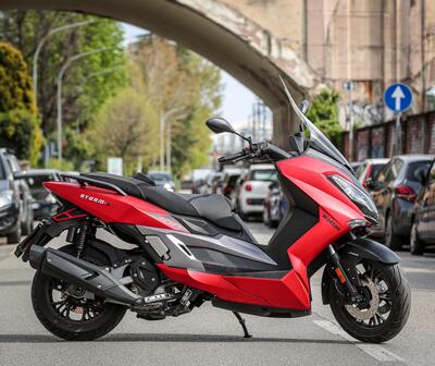 Wottan Motor Storm-S 300 (2020 - 25) usata