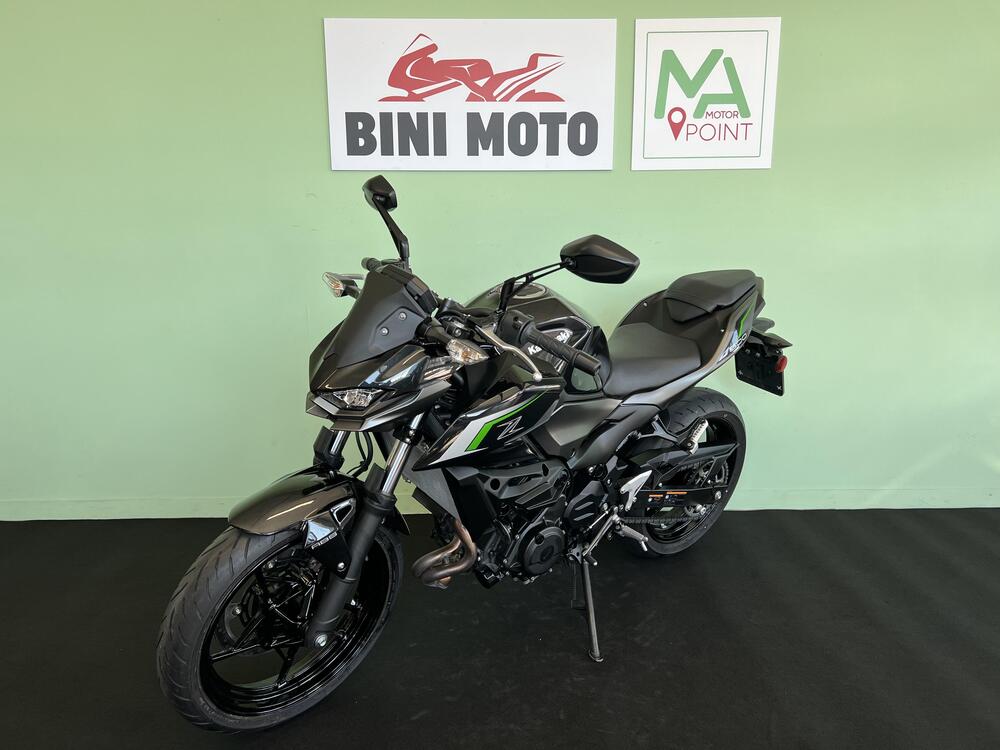 Kawasaki Z 500 (2024 - 26) (4)