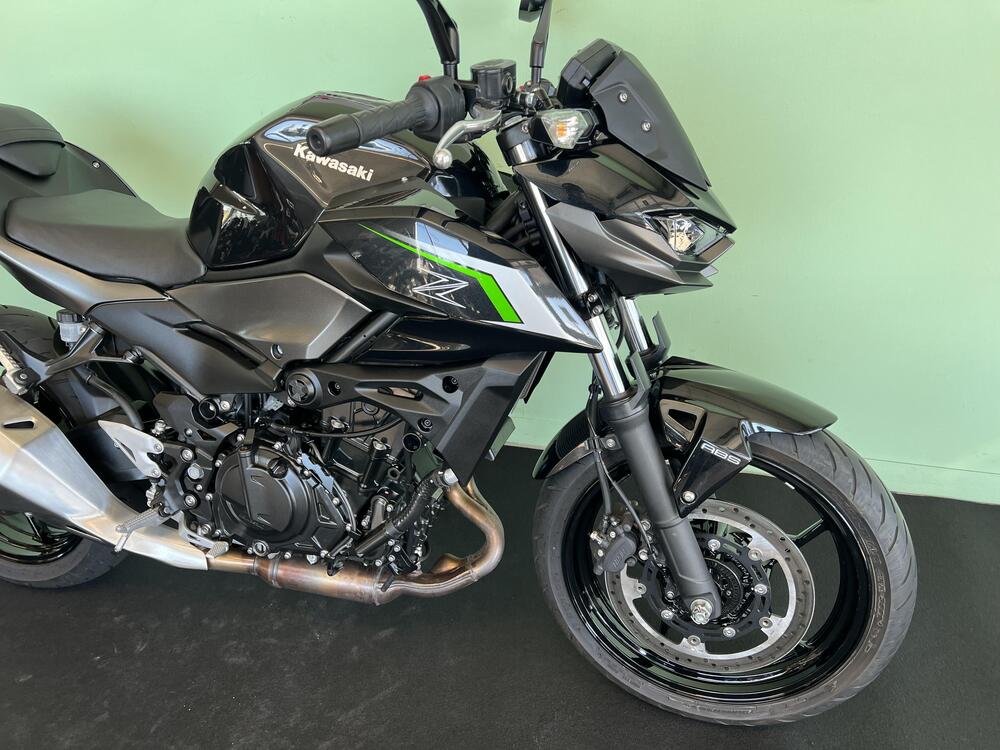 Kawasaki Z 500 (2024 - 26) (8)