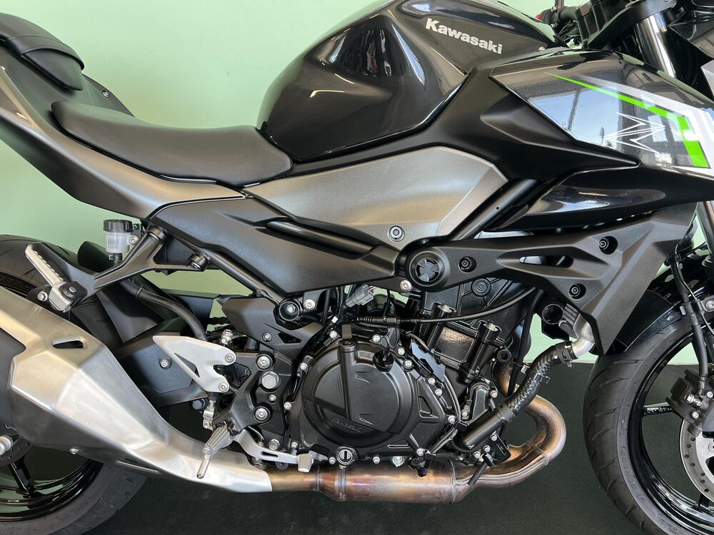 Kawasaki Z 500 (2024 - 26) (9)
