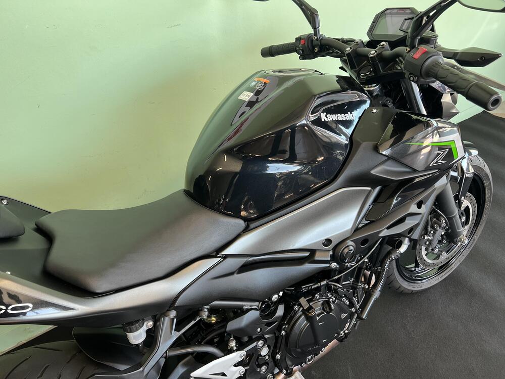 Kawasaki Z 500 (2024 - 26) (11)