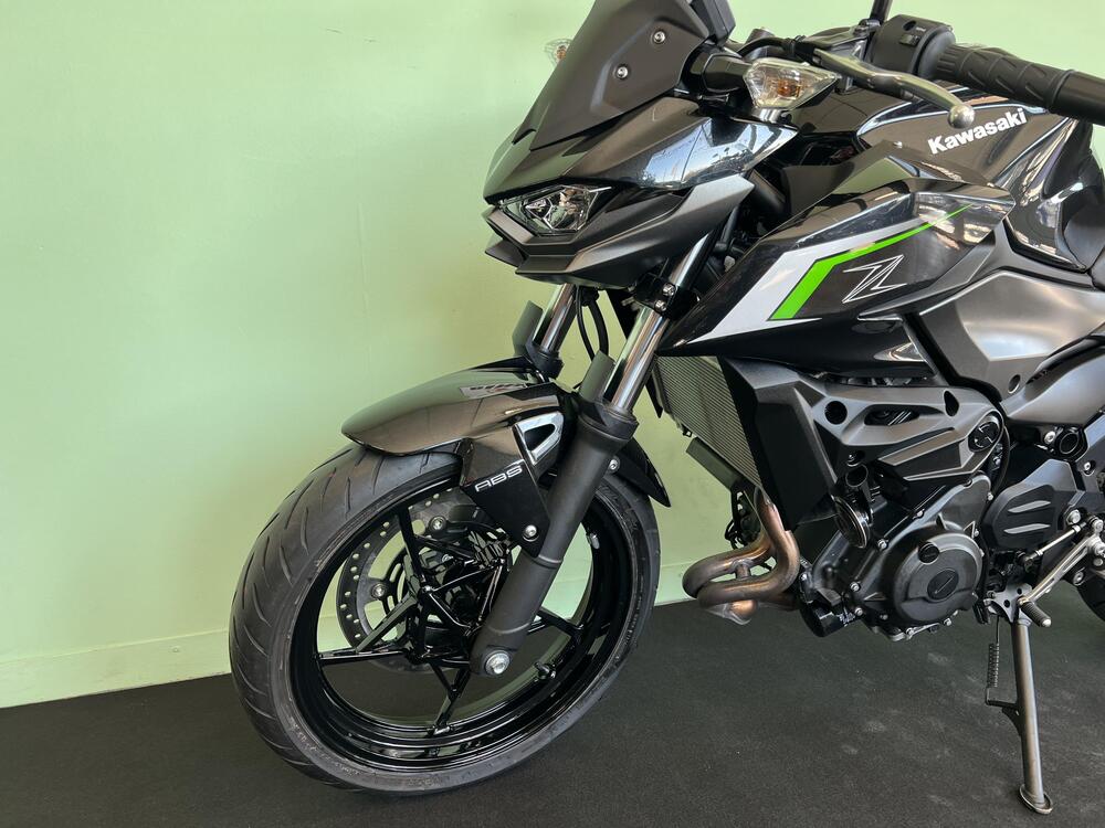 Kawasaki Z 500 (2024 - 26) (12)