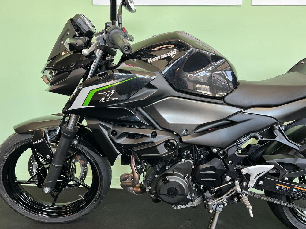 Kawasaki Z 500 (2024 - 26) (13)