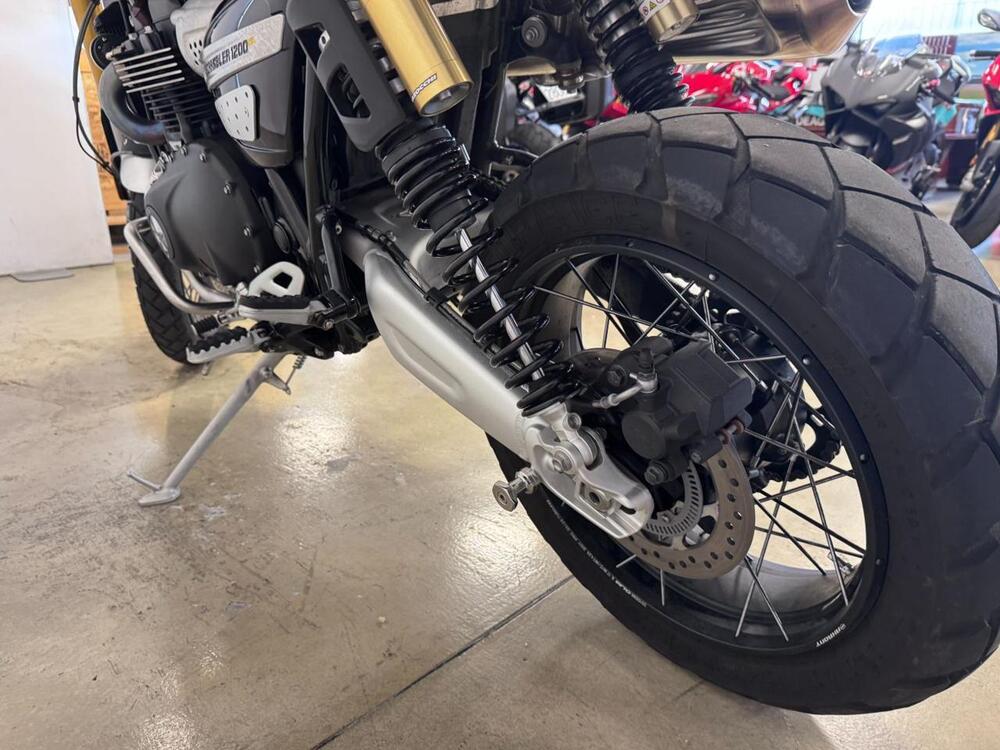 Triumph Scrambler 1200 XE (2024 - 25) (8)