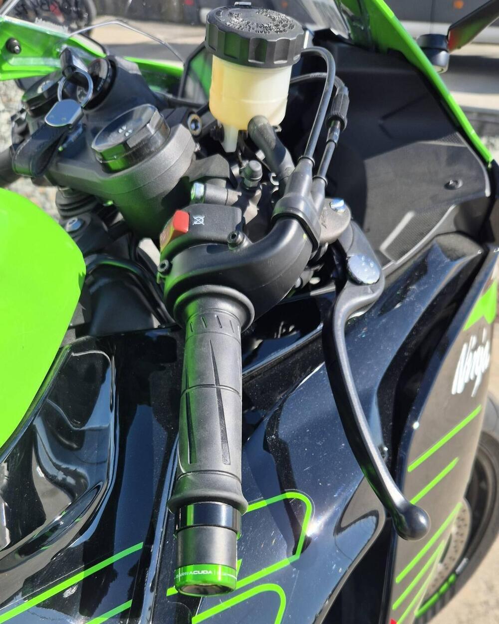 Kawasaki Ninja 636 ZX-6R (2024 - 26) (8)