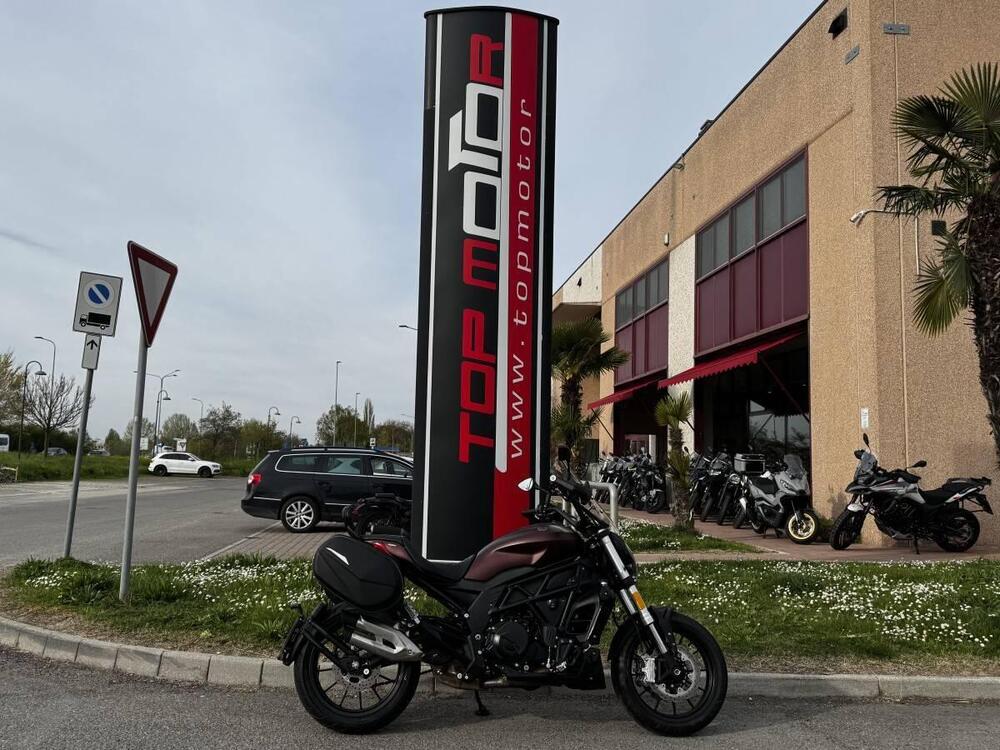 Benelli 502 C (2021 - 25) (5)