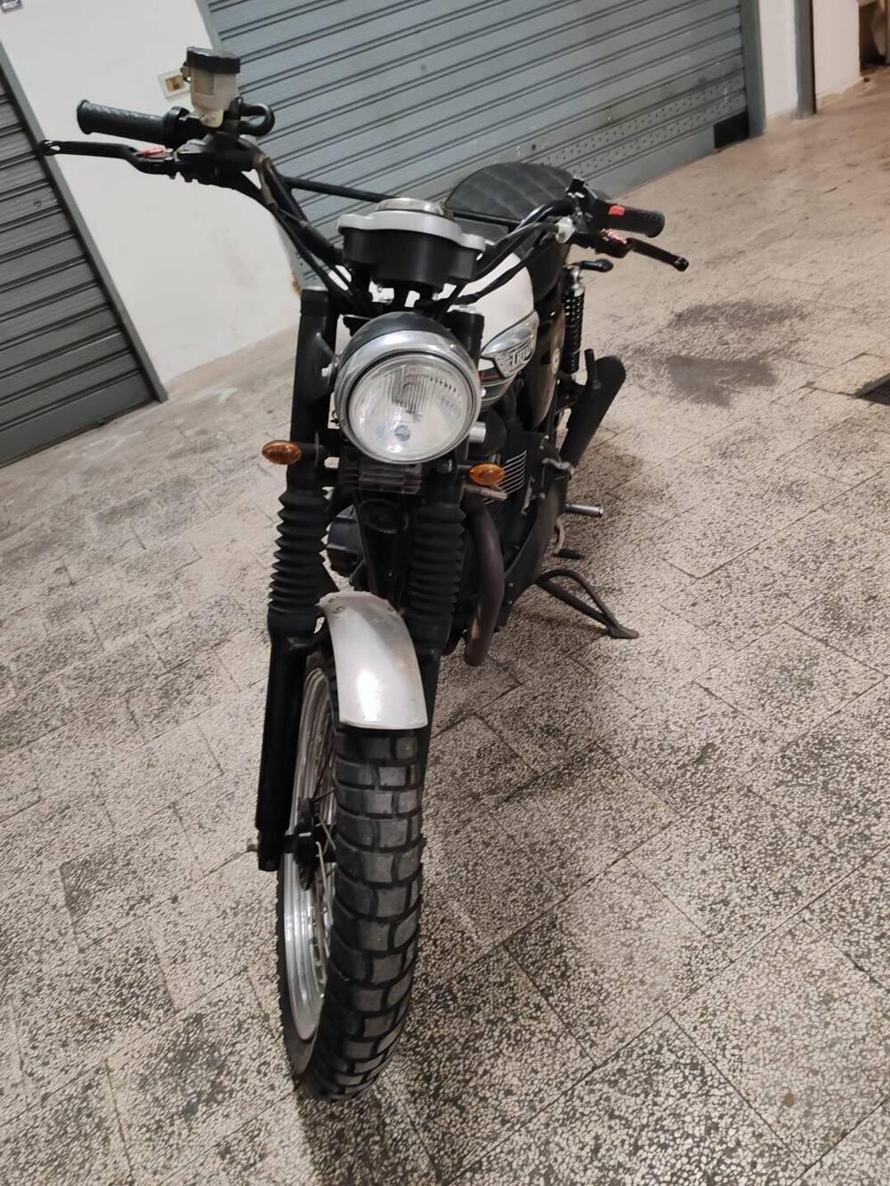 Triumph Scrambler (2006 - 17) (7)