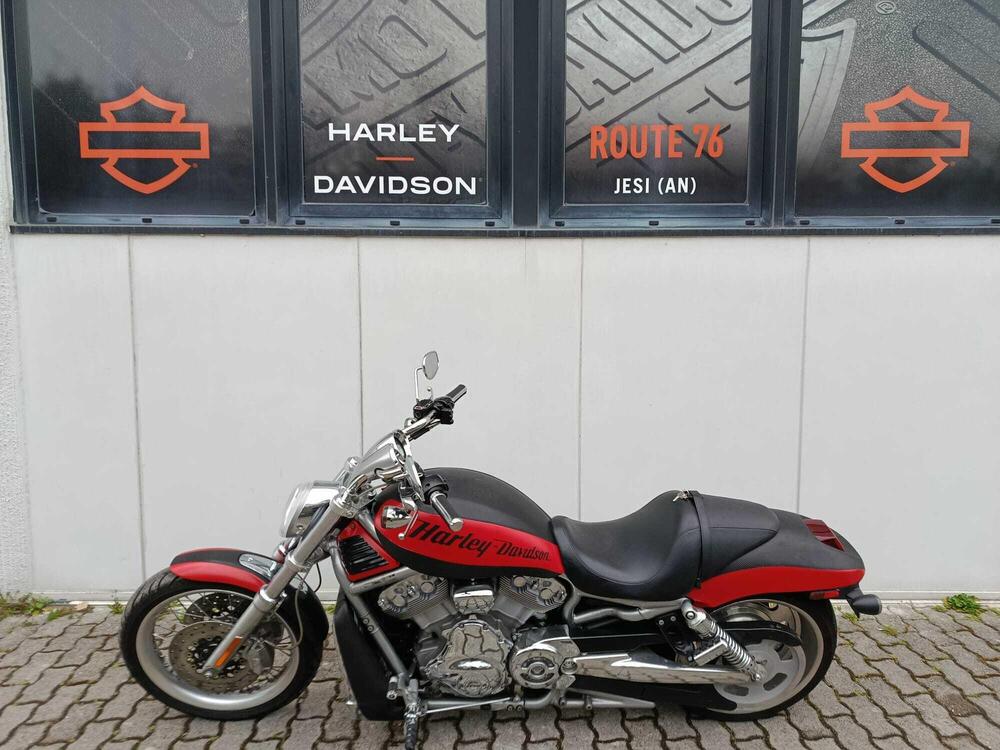 Harley-Davidson 1250 V-Rod (2008 - 12) - VRSCAW (8)