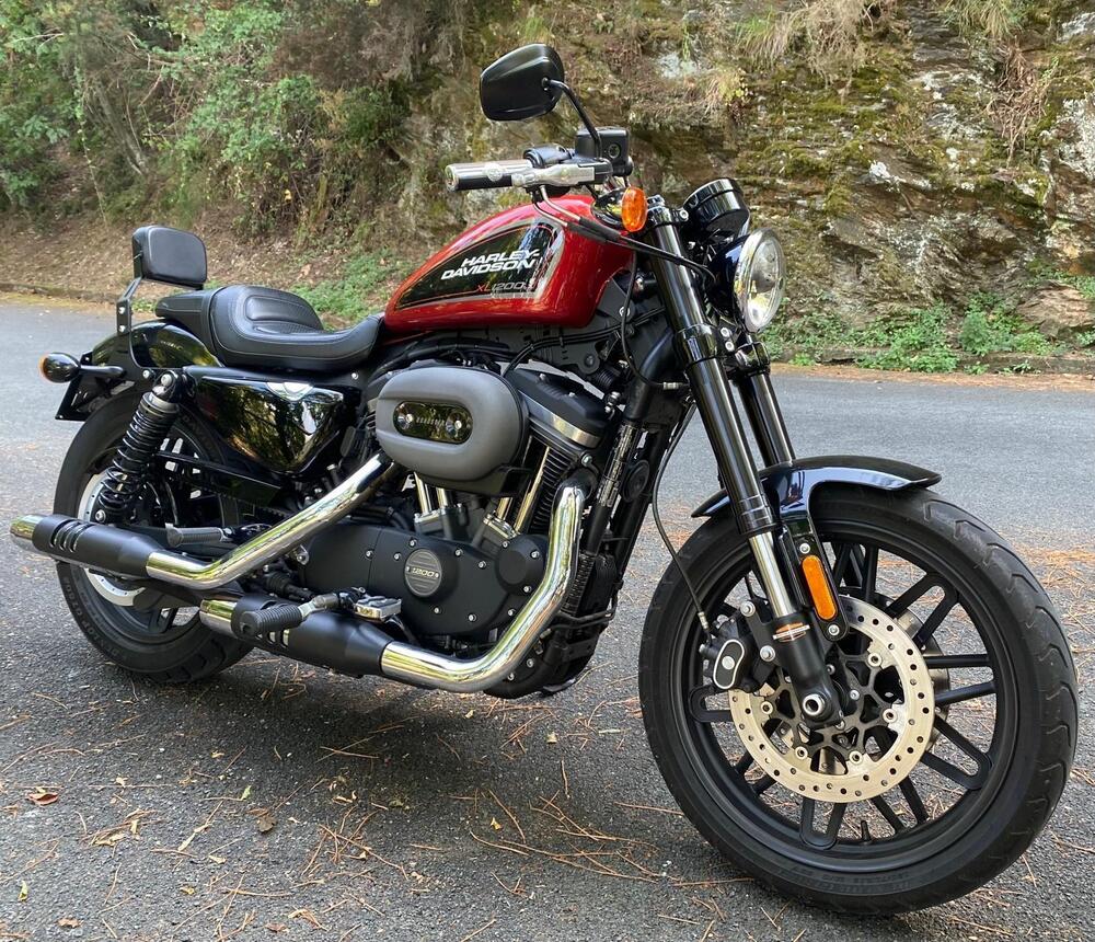 Harley-Davidson 1200 Roadster (2017 - 20) - XL 1200R (4)