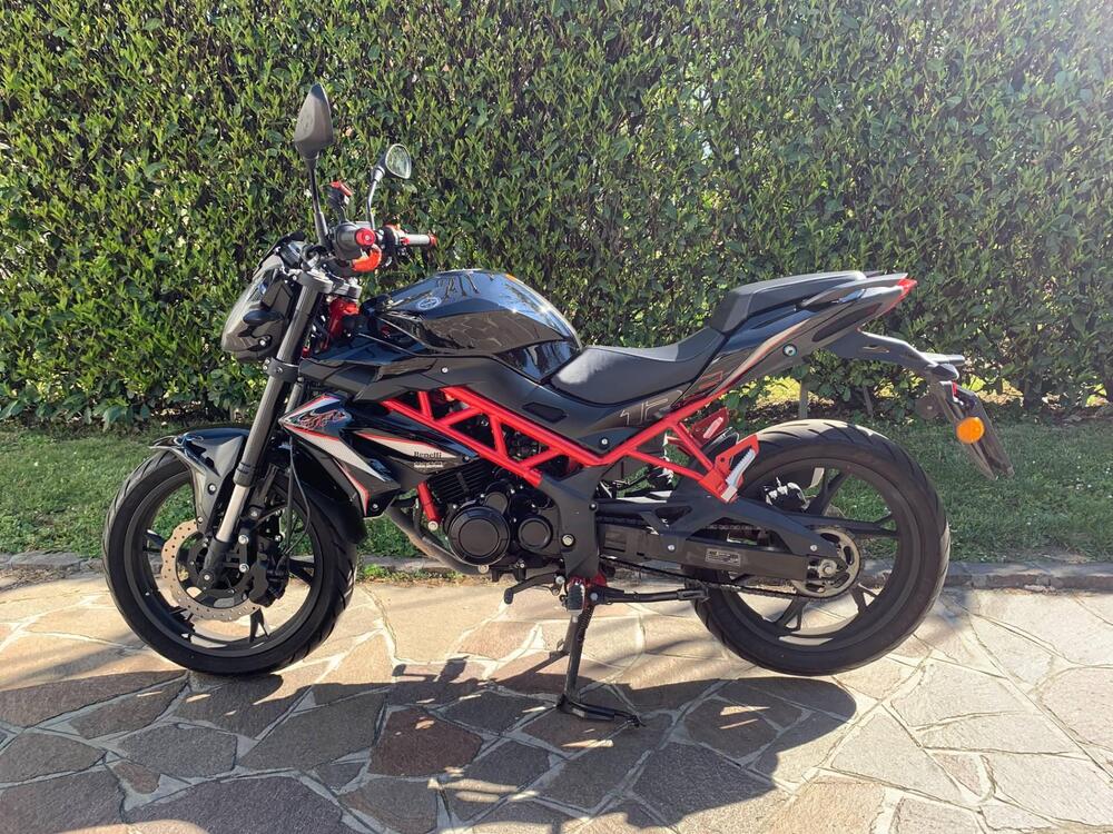 Benelli BN 125 (2021 - 25) (2)