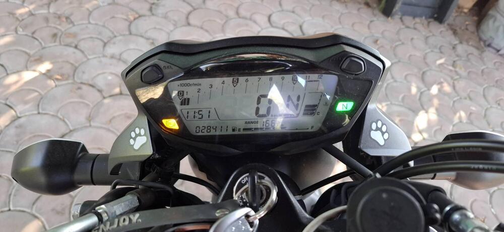 Suzuki SV 650 (2016 - 20) (2)