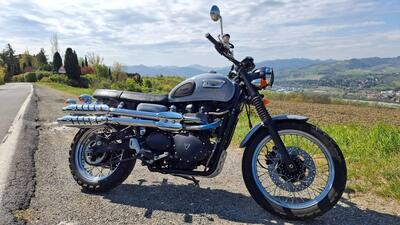 Triumph Scrambler (2006 - 17) usata