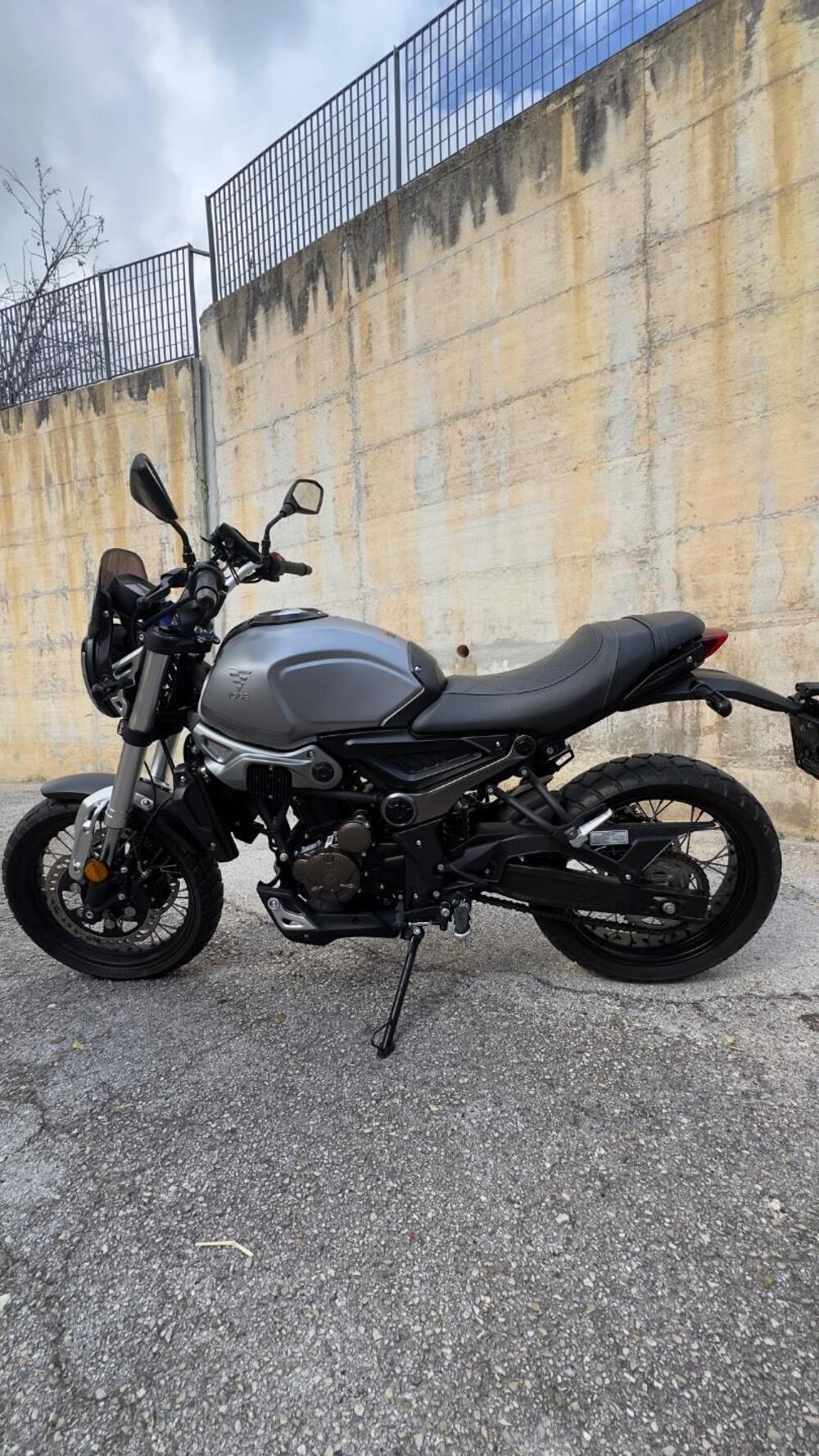 Voge Trofeo 300ACX Scrambler (2021 - 26) (3)