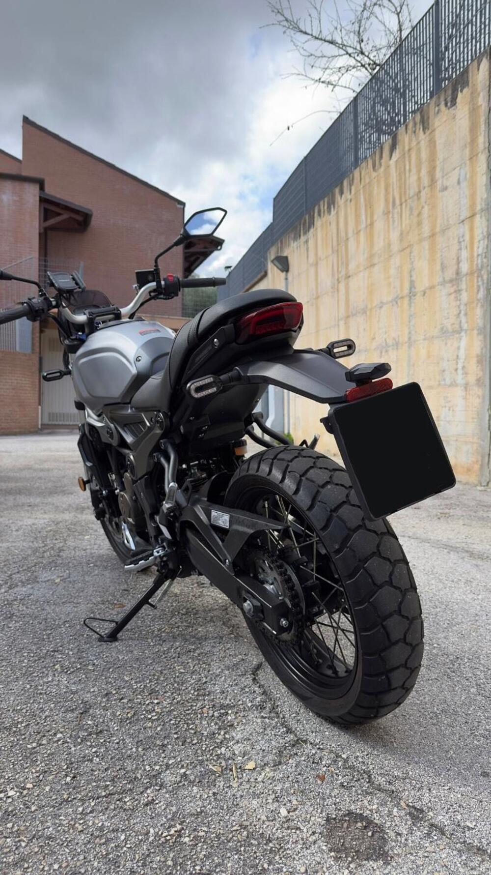 Voge Trofeo 300ACX Scrambler (2021 - 26) (4)