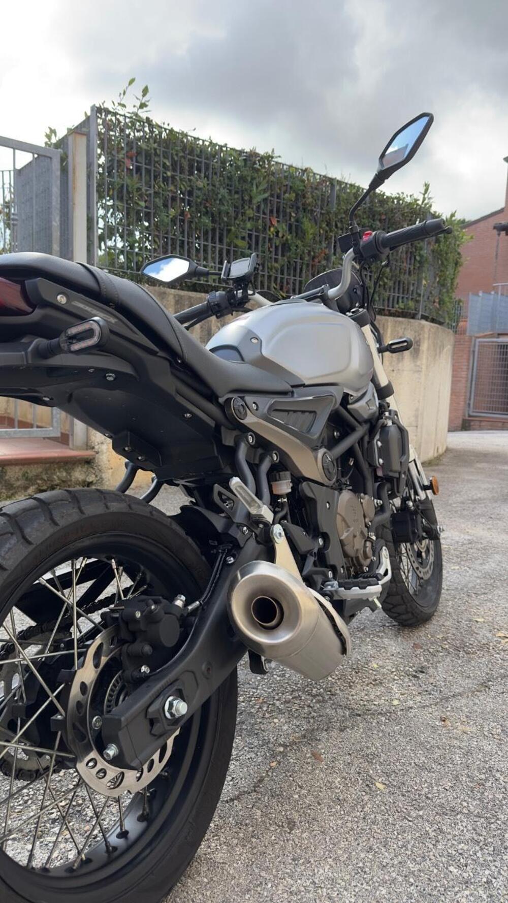 Voge Trofeo 300ACX Scrambler (2021 - 26) (5)