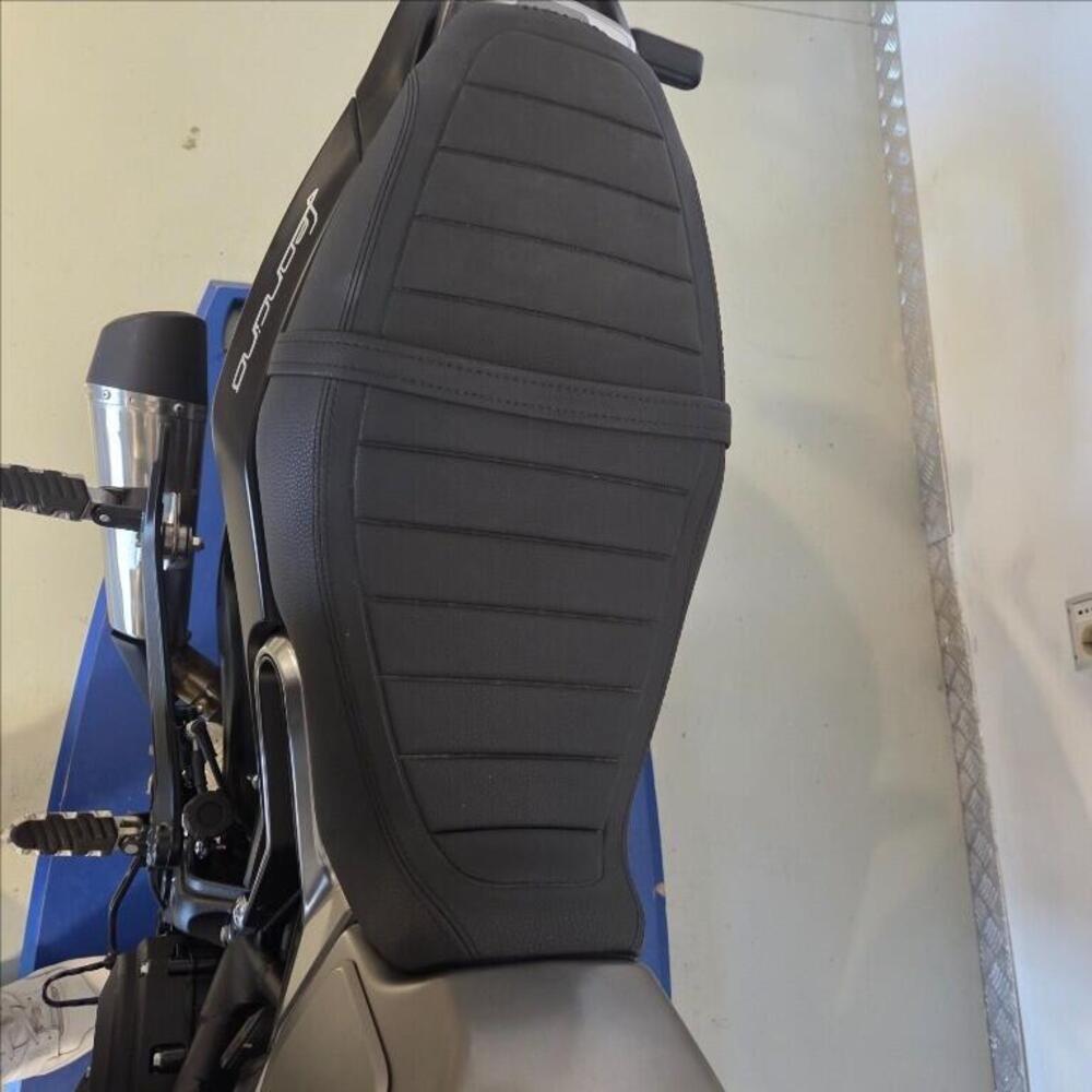 Benelli Leoncino 800 Trail (2022 - 26) (3)