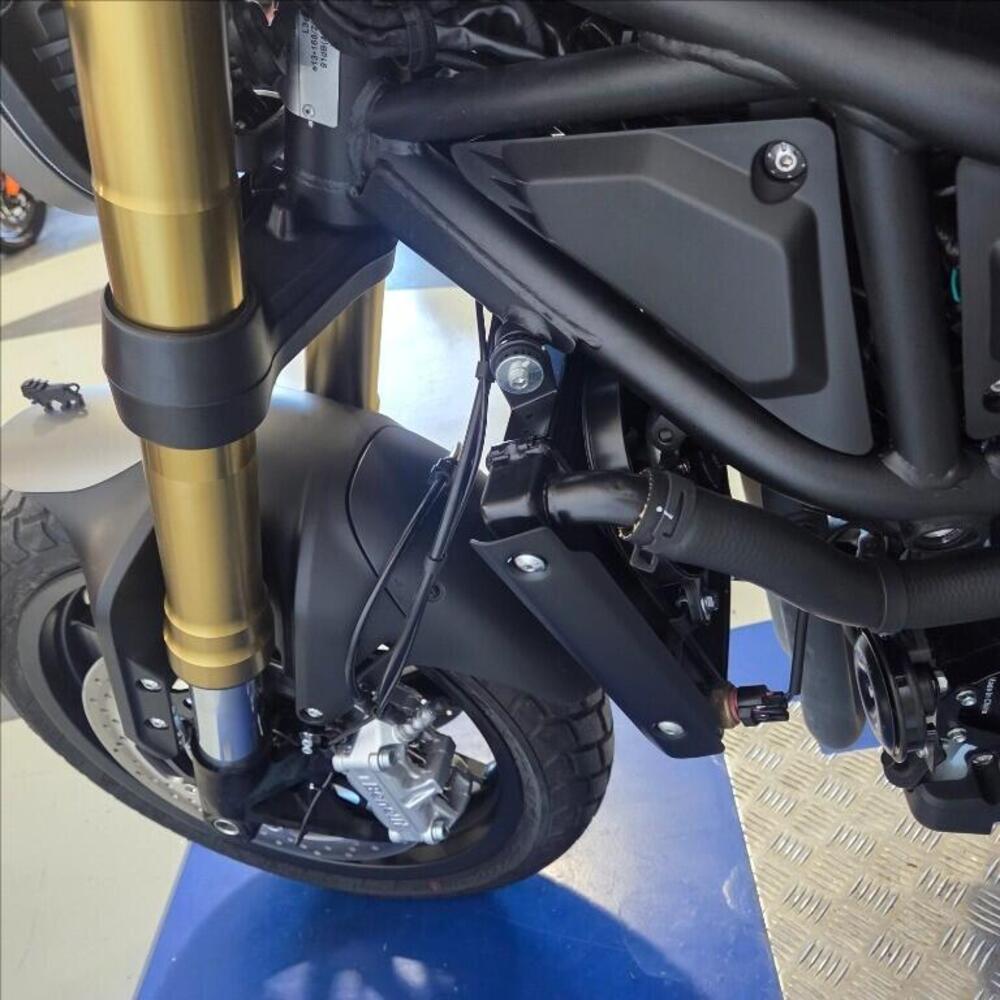 Benelli Leoncino 800 Trail (2022 - 26) (7)