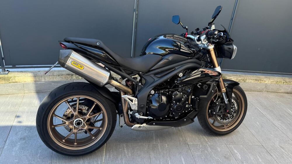 Triumph Speed Triple 1050 (2011 - 13)