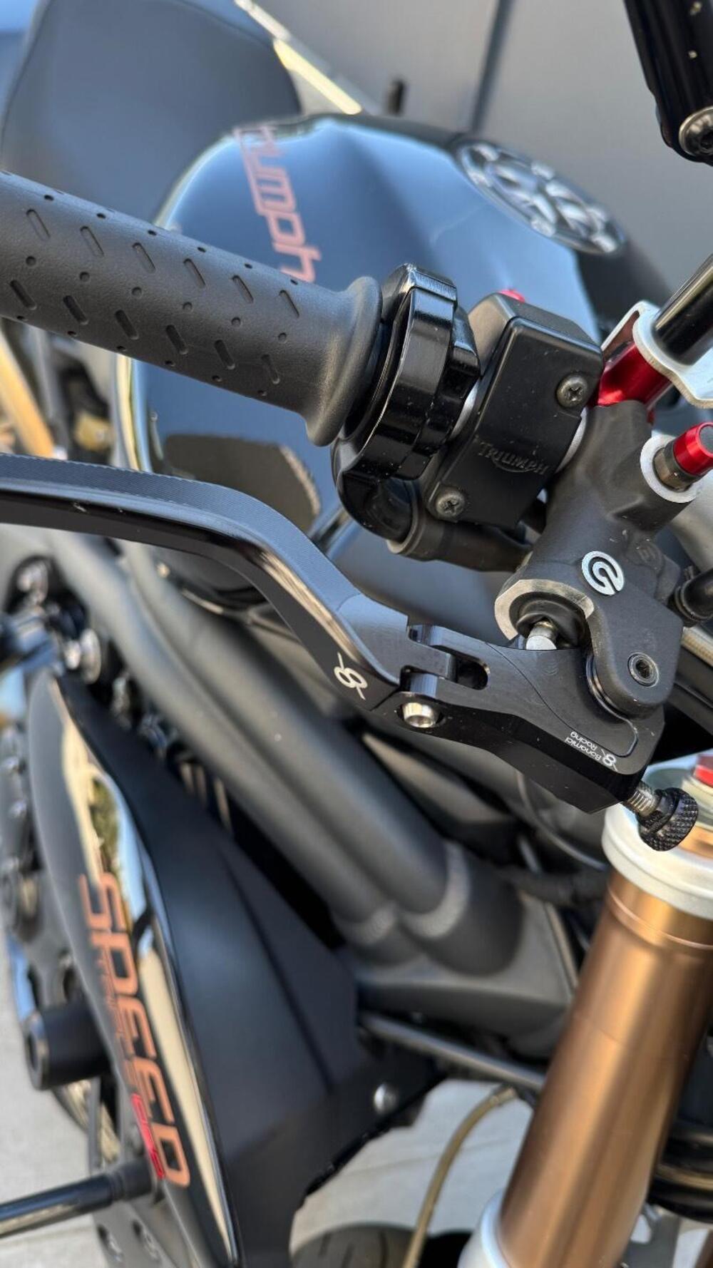 Triumph Speed Triple 1050 (2011 - 13) (5)