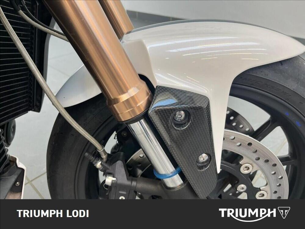 Triumph Speed Triple 1050 (2011 - 13) (6)