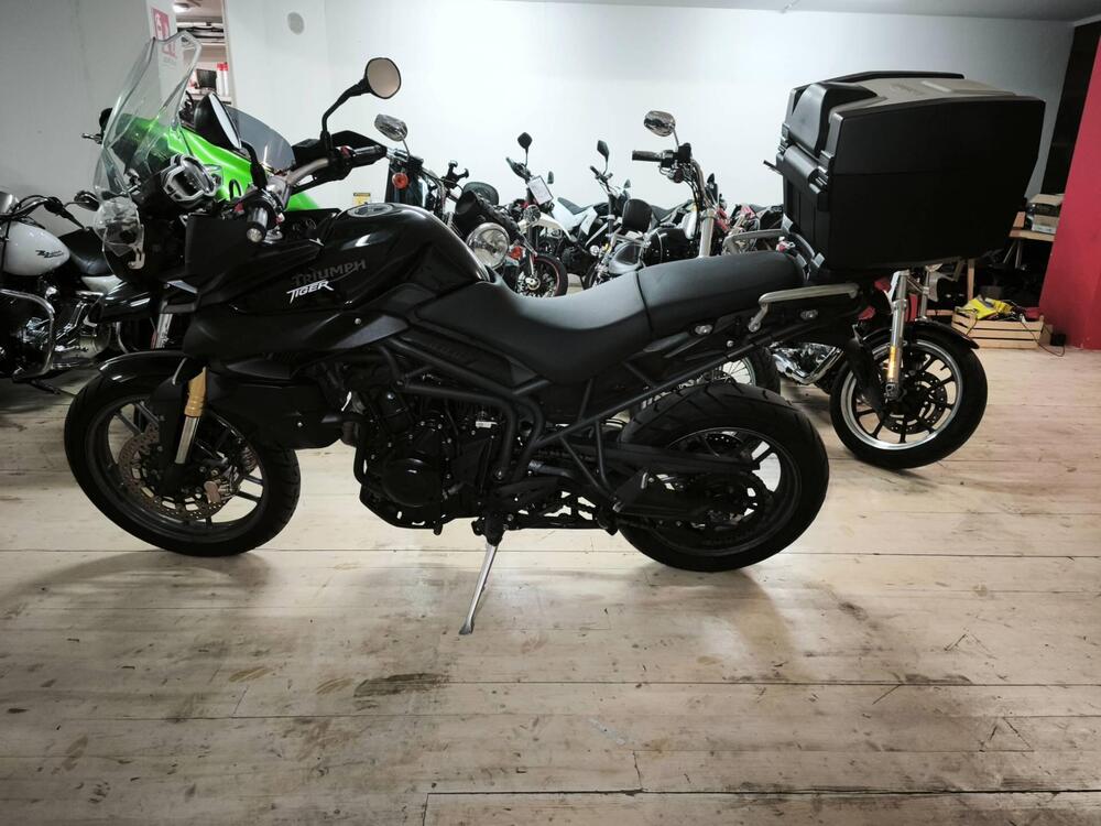 Triumph Tiger 800 XC (2011 - 12) (3)