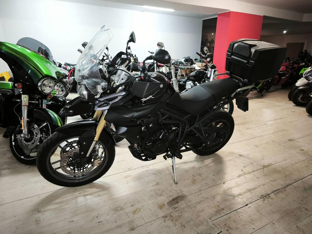Triumph Tiger 800 XC (2011 - 12) (4)