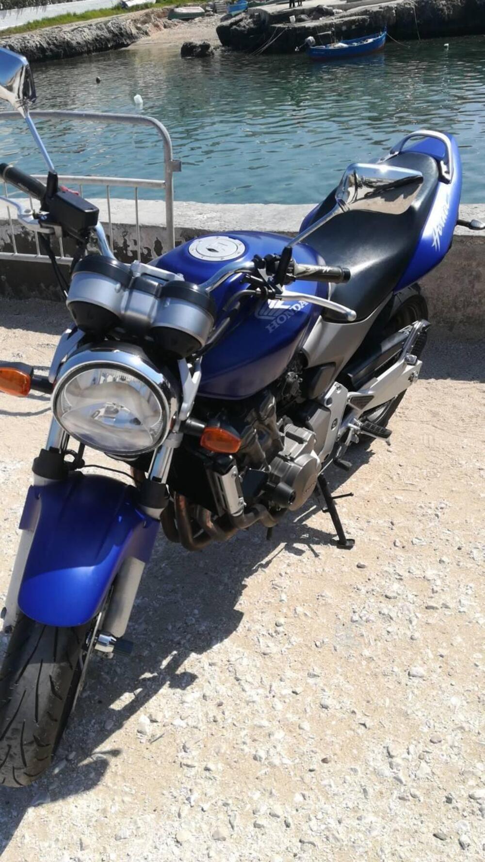 Honda Hornet 600 (2003 - 04) (13)