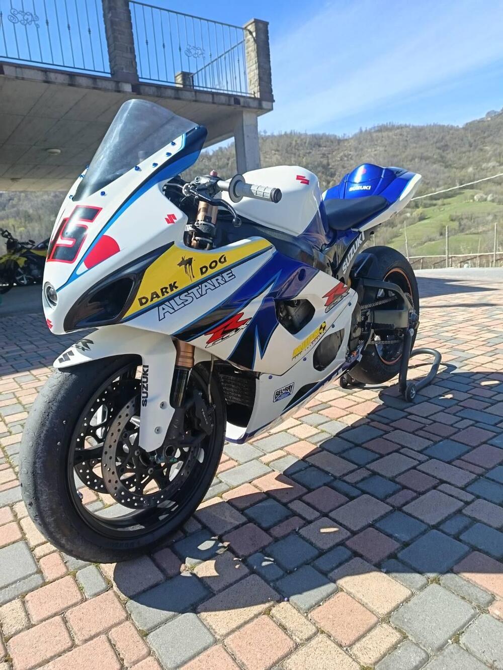 Suzuki GSX-R1000 (2005 - 06) (4)