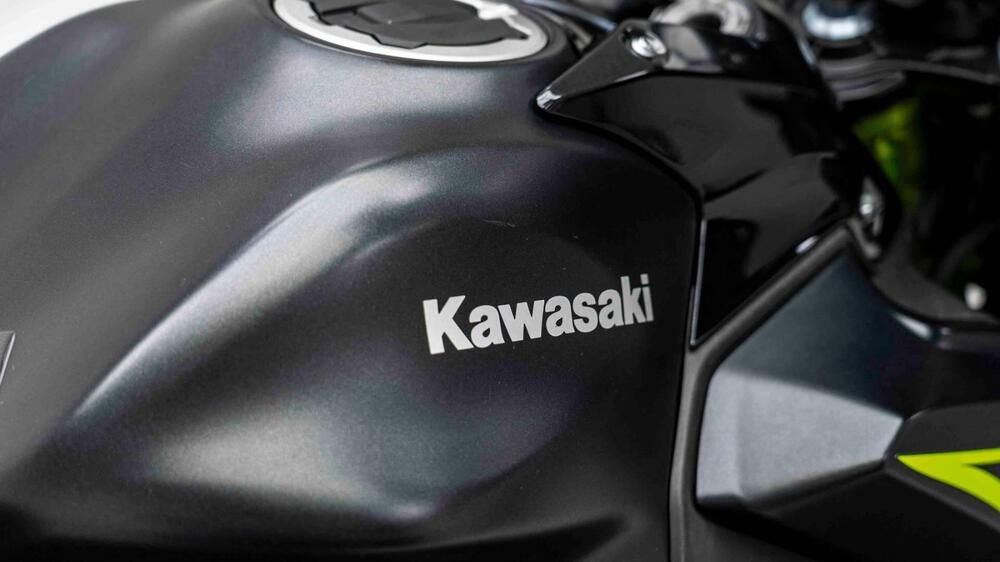 Kawasaki Z 650 (2017 - 19) (11)
