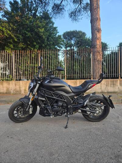 Benelli 502 C (2021 - 25) usata