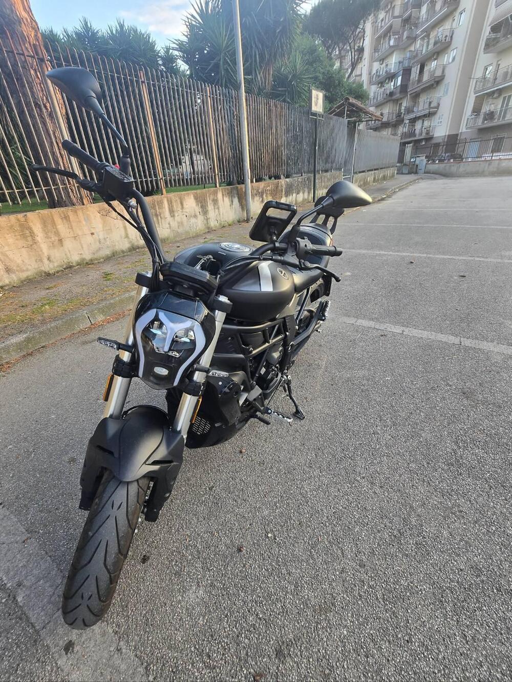 Benelli 502 C (2021 - 25) (4)