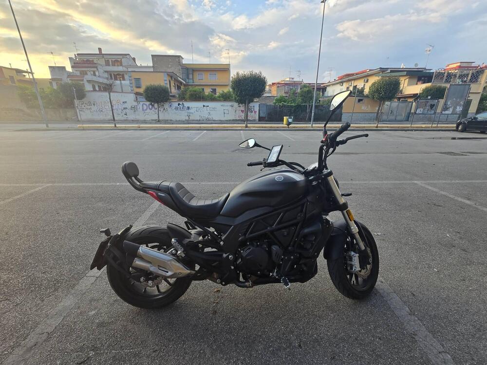 Benelli 502 C (2021 - 25) (6)