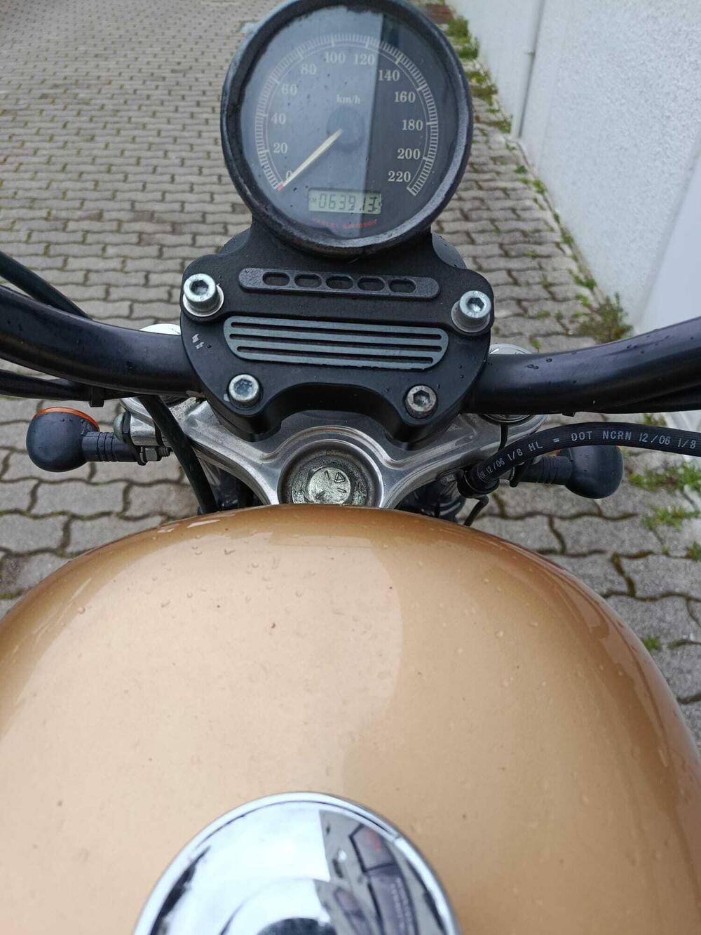 Harley-Davidson 883 R (2006 - 07) - XL 883R (6)