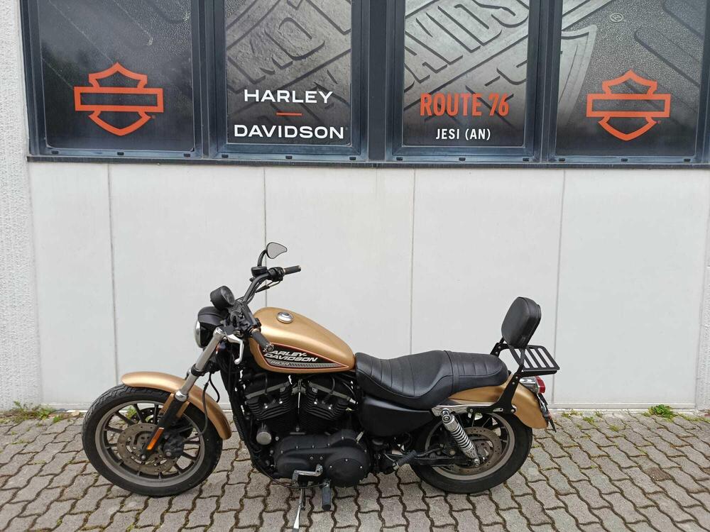 Harley-Davidson 883 R (2006 - 07) - XL 883R (7)