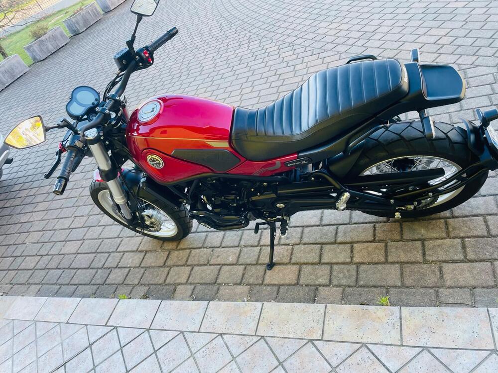 Benelli Leoncino 500 Trail (2021 - 26) (3)