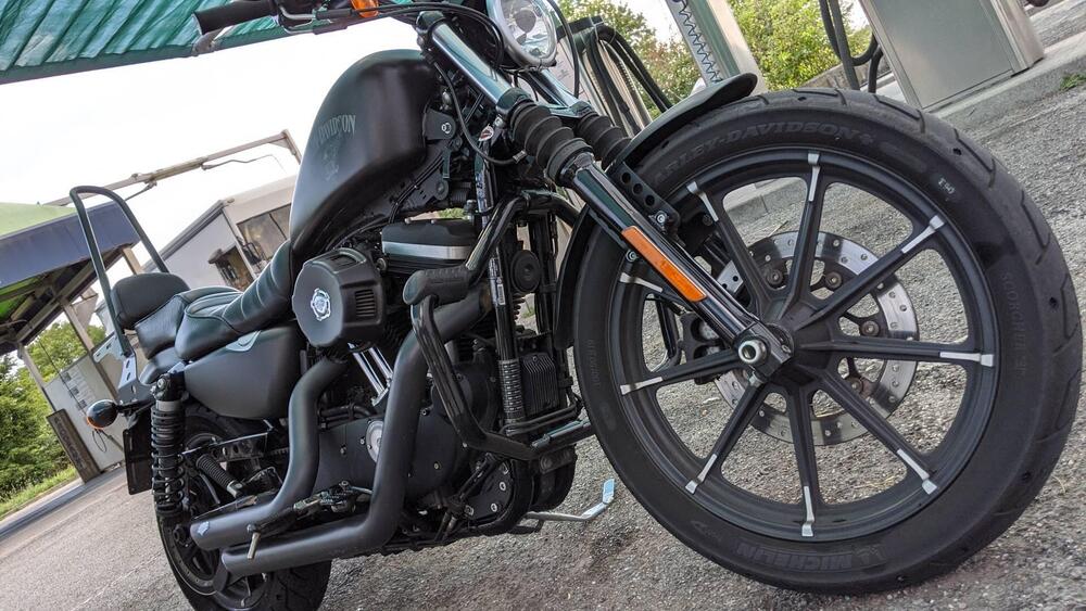Harley-Davidson 883 Iron (2017 - 20) - XL 883N