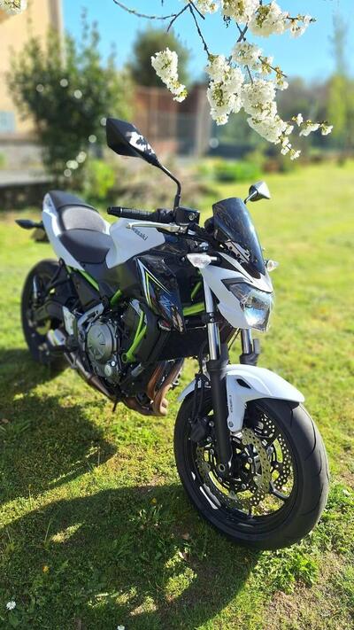 Kawasaki Z 650 (2017 - 19) usata