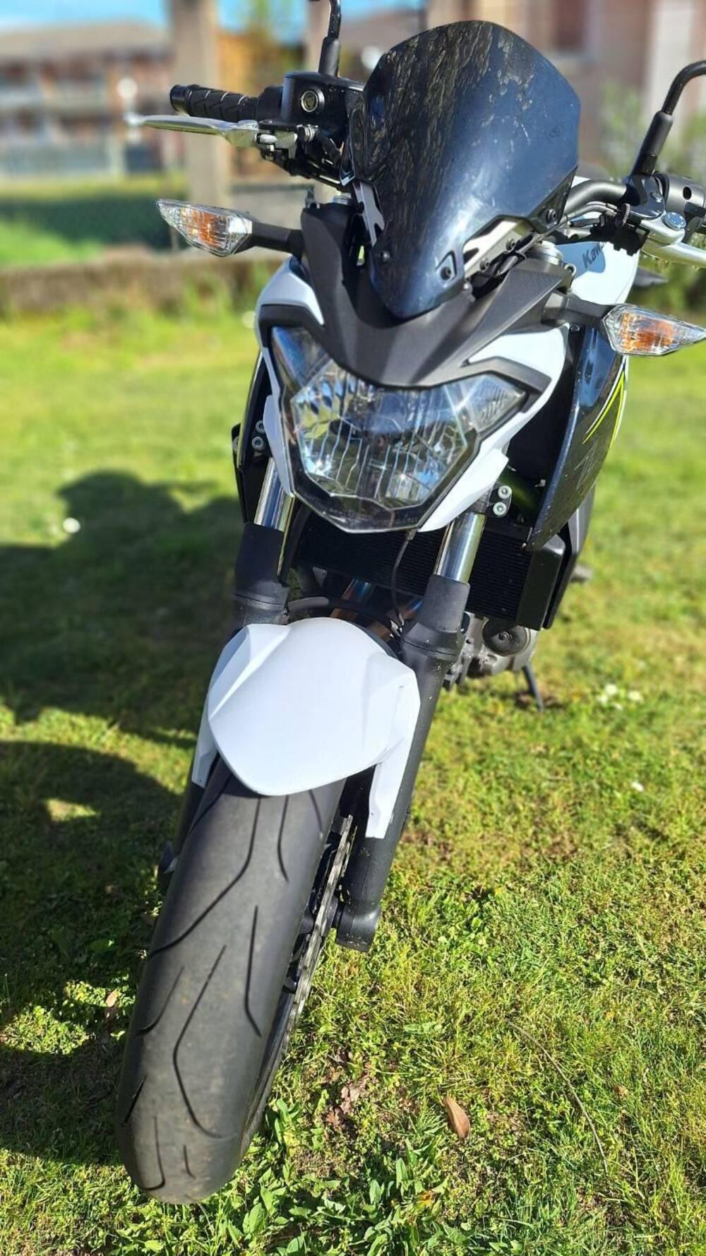 Kawasaki Z 650 (2017 - 19) (2)