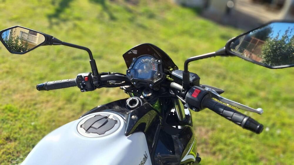 Kawasaki Z 650 (2017 - 19) (3)