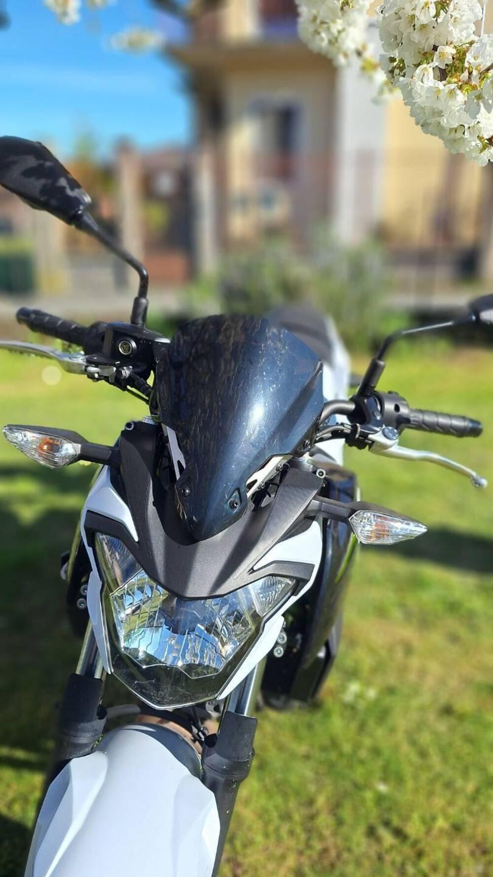 Kawasaki Z 650 (2017 - 19) (4)