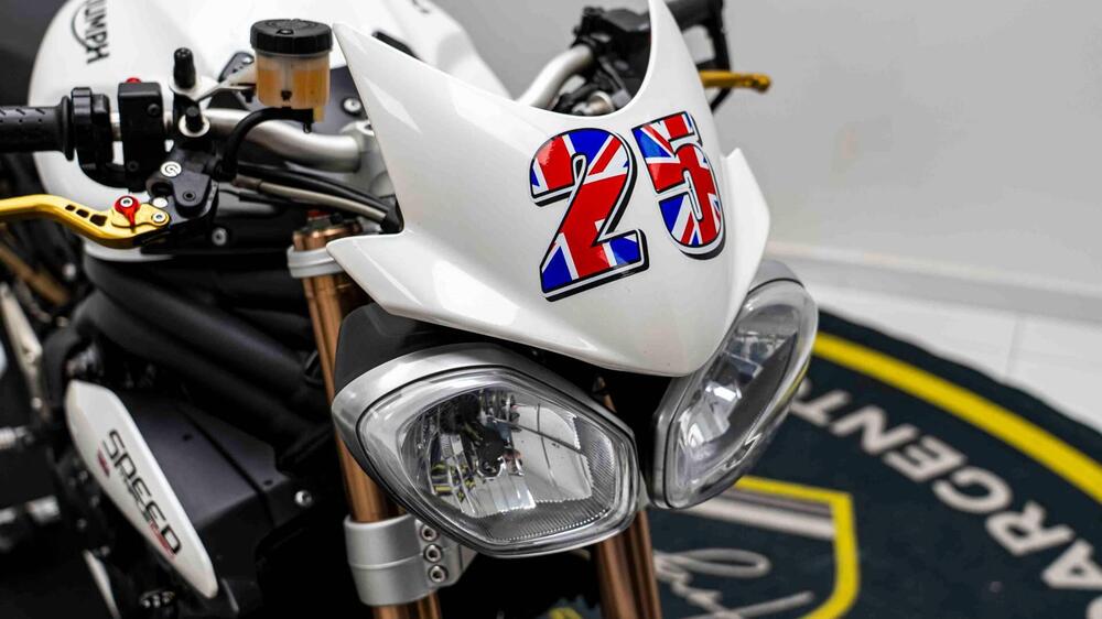 Triumph Speed Triple 1050 (2011 - 13) (17)