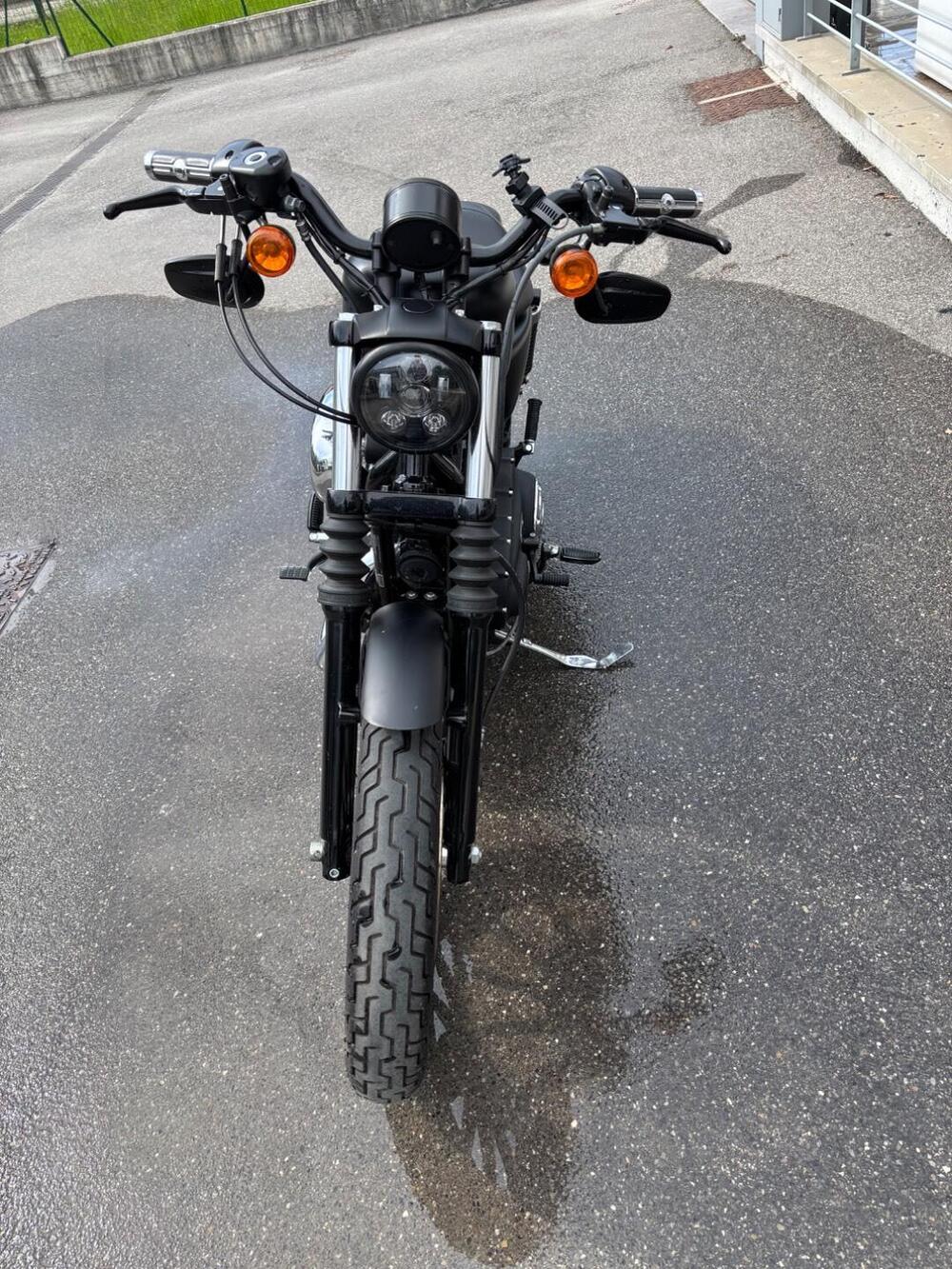 Harley-Davidson 883 Iron (2012 - 14) - XL 883N (2)