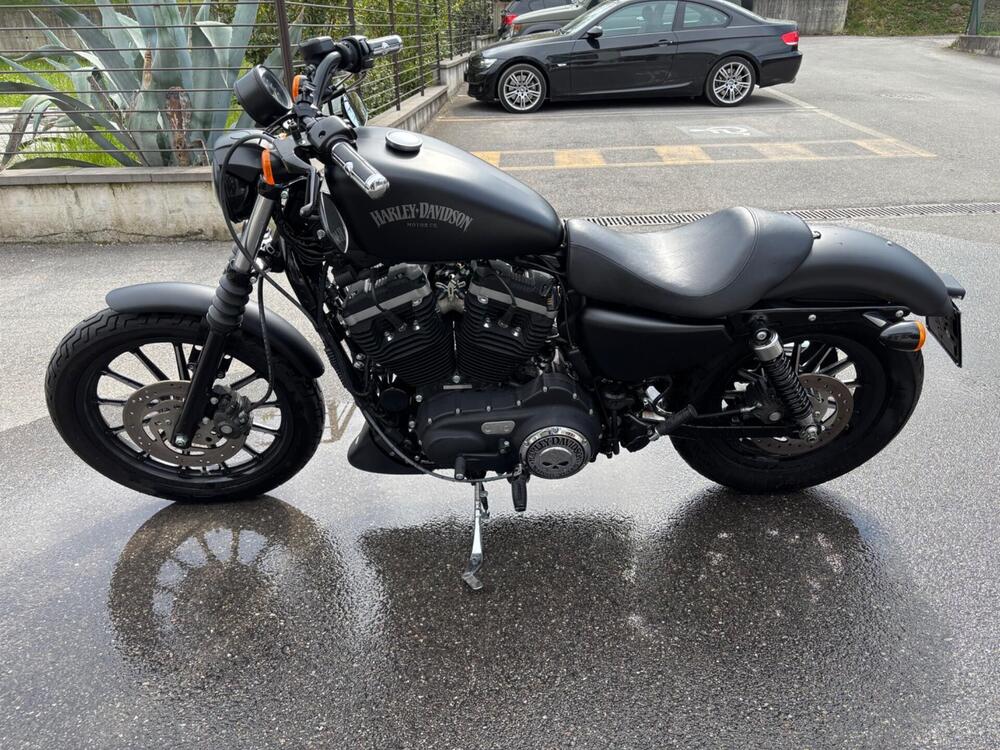 Harley-Davidson 883 Iron (2012 - 14) - XL 883N (3)