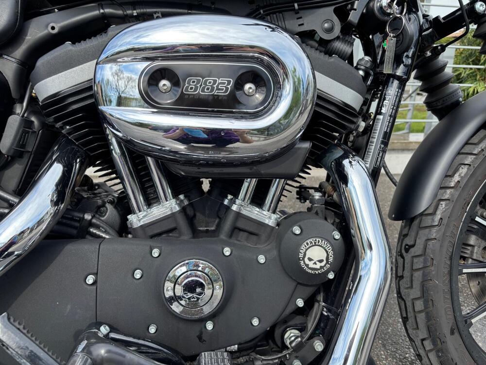 Harley-Davidson 883 Iron (2012 - 14) - XL 883N (6)