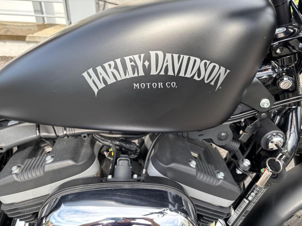 Harley-Davidson 883 Iron (2012 - 14) - XL 883N (7)
