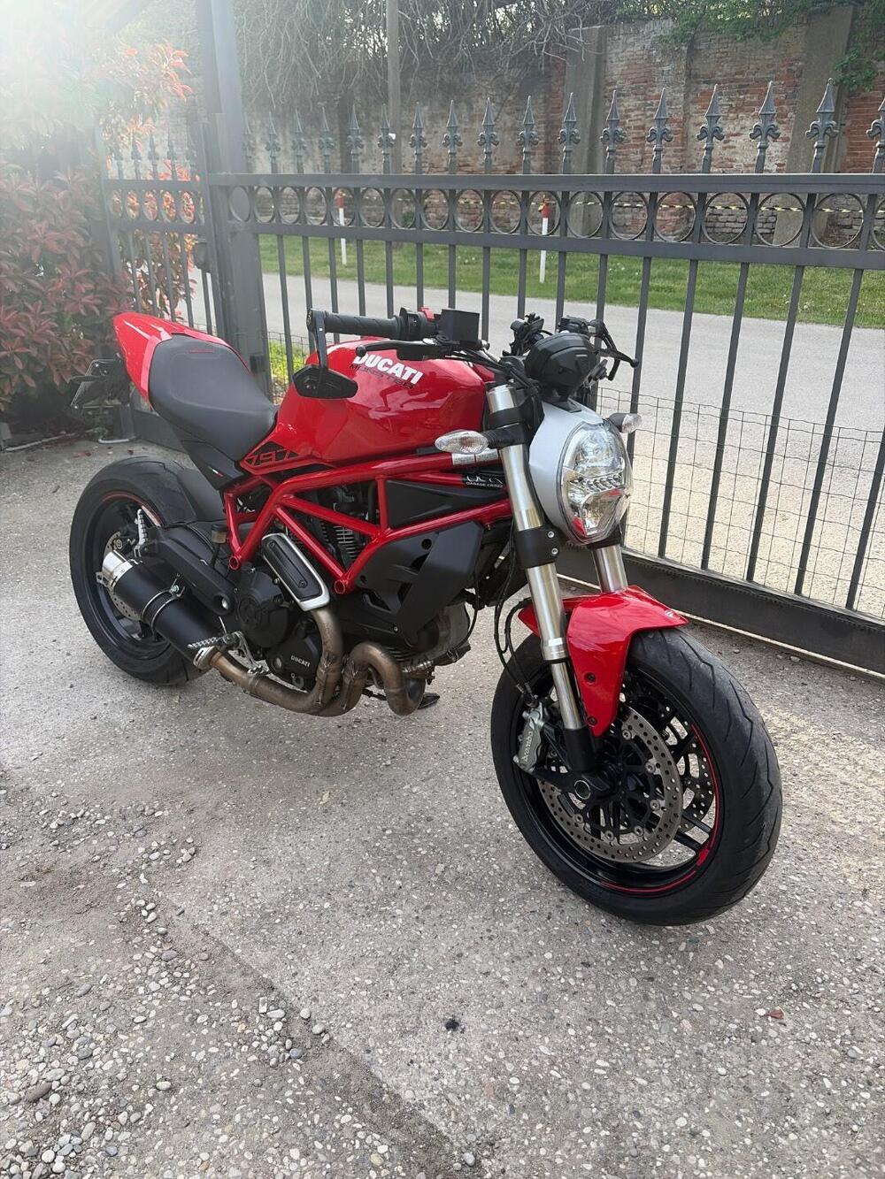 Ducati Monster 797 (2019 - 20) (2)